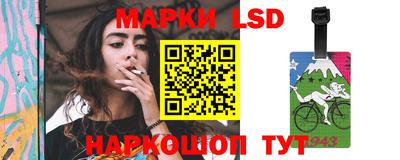 гидропоника Камышлов