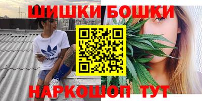 гидропоника Камышлов