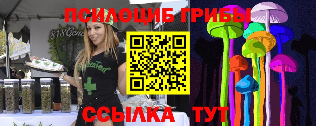 Псилоцибиновые грибы прущие грибы  Вход с VPN  Королёв 